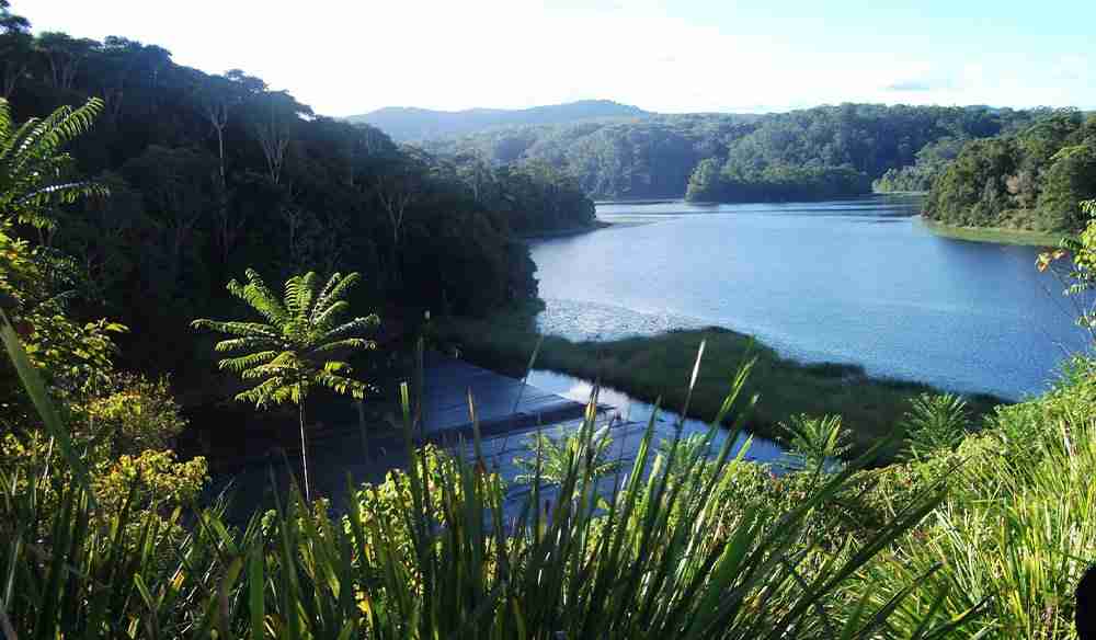 Rocky Creek Dam - Pet Friendly Byron Bay Accommodation & Surrounds blog